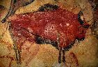 Höhlenmalerei, Wandmalerei, Stier Neandertaler