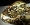 Leopardenfelljaspis