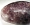 Hydropolylithionit