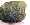 Pseudochrysolith