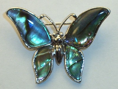 Paua Muschel Brosche Schmetterling