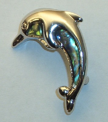 Paua Muschel Brosche Delfin