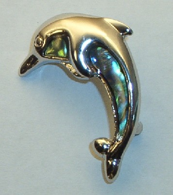 Paua Muschel Brosche Delfin